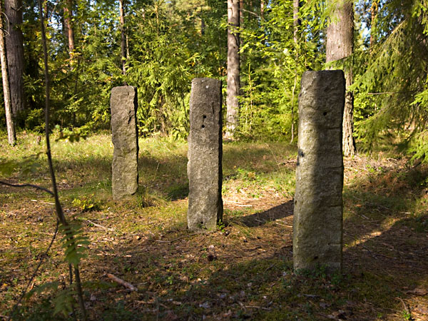 Surujenpuisto